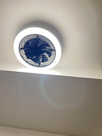 Thatâs he only fn available.