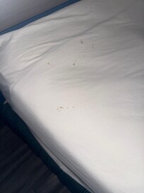 MOLD