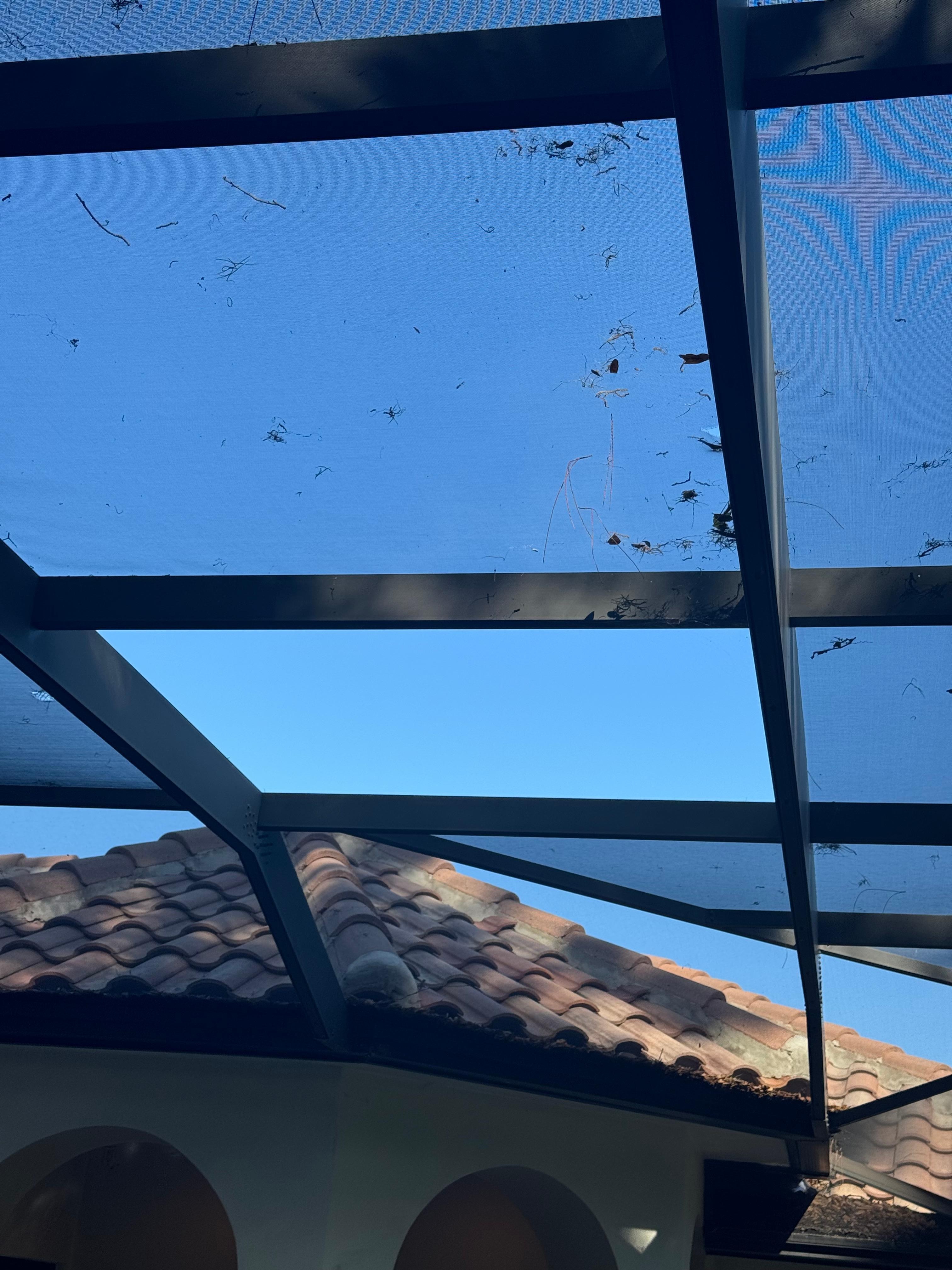 Missing screen allowing mosquitos and leaves to enter pool area