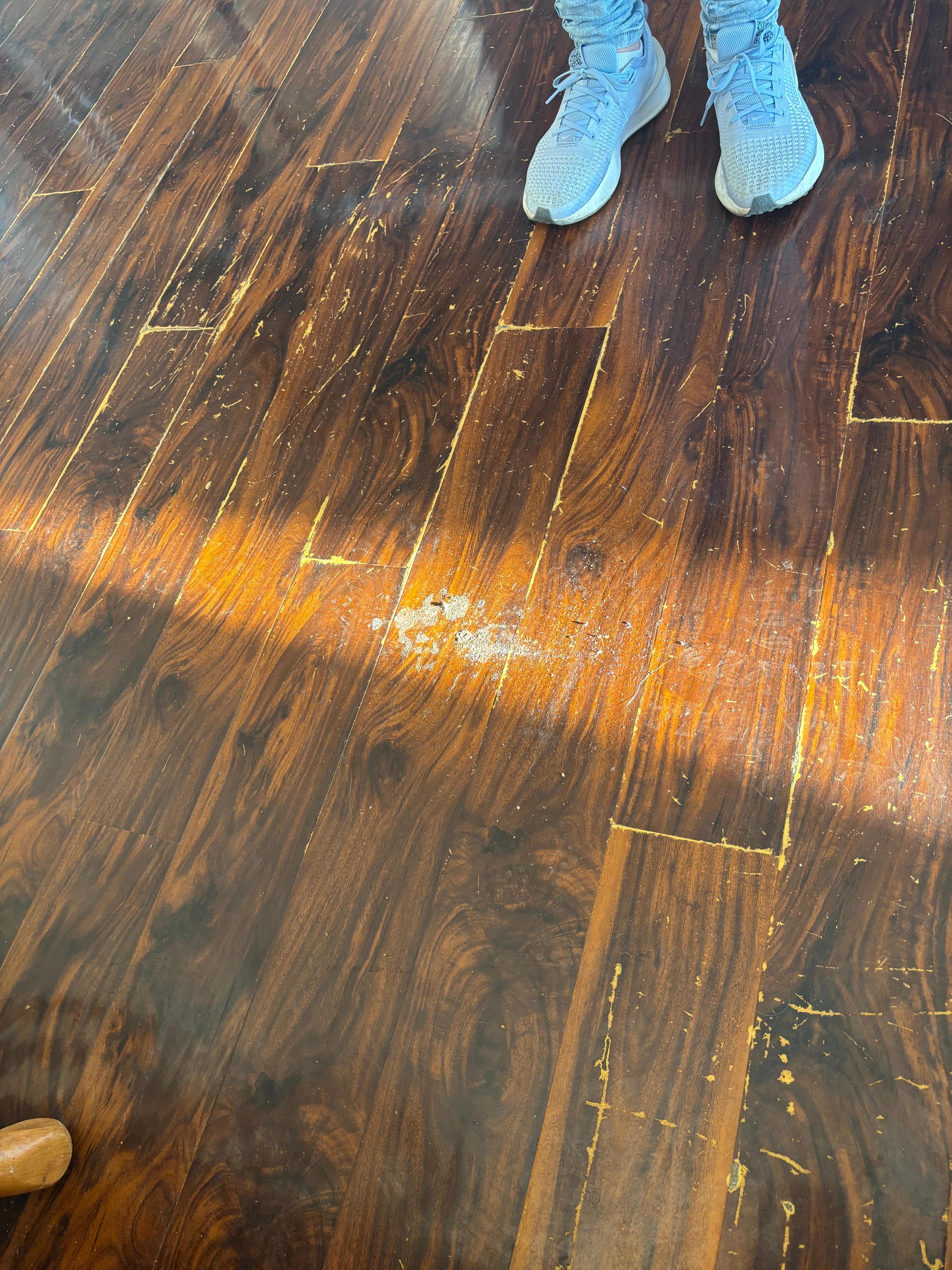 Goo on the hardwood. Looks like vomit. 