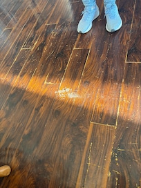 Goo on the hardwood. Looks like vomit.