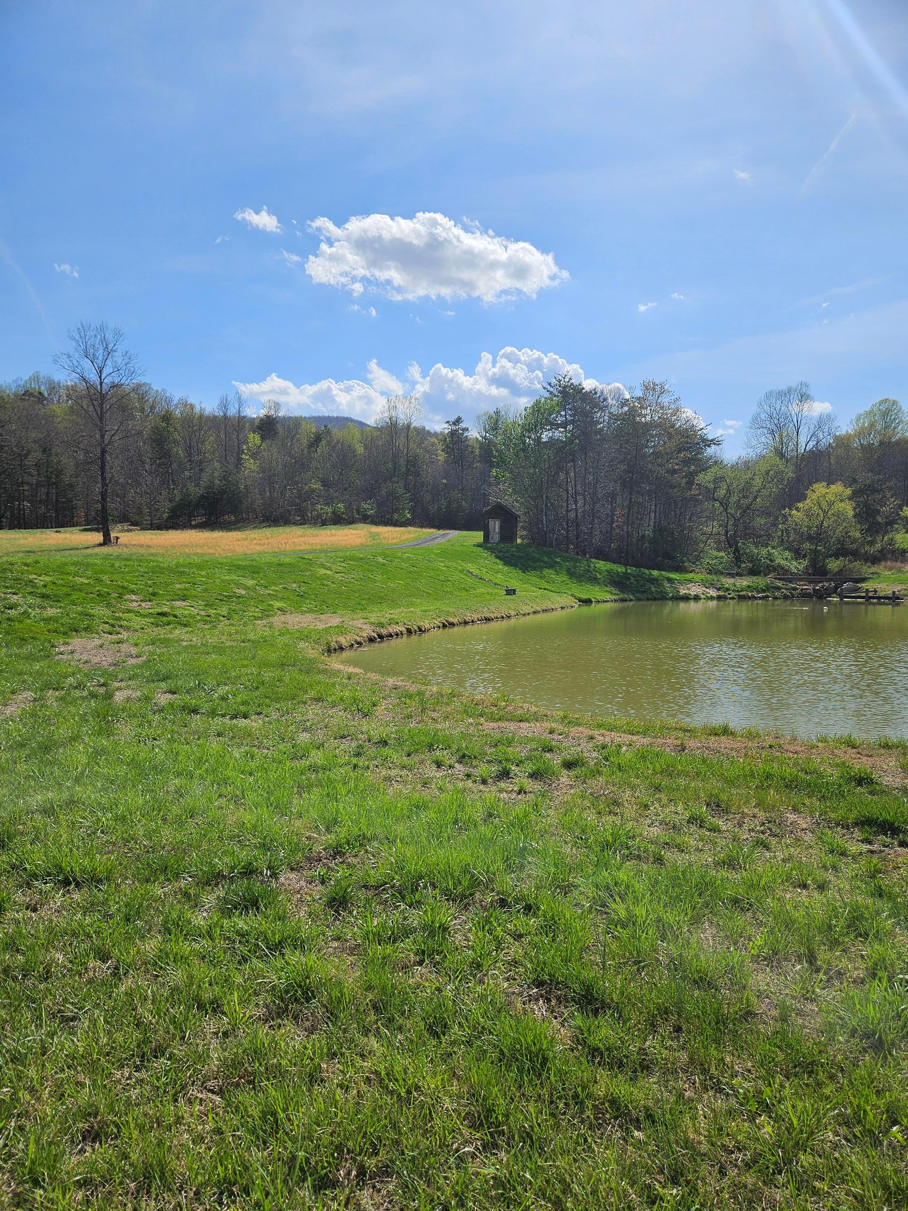 The pond was a cute surprise! 
