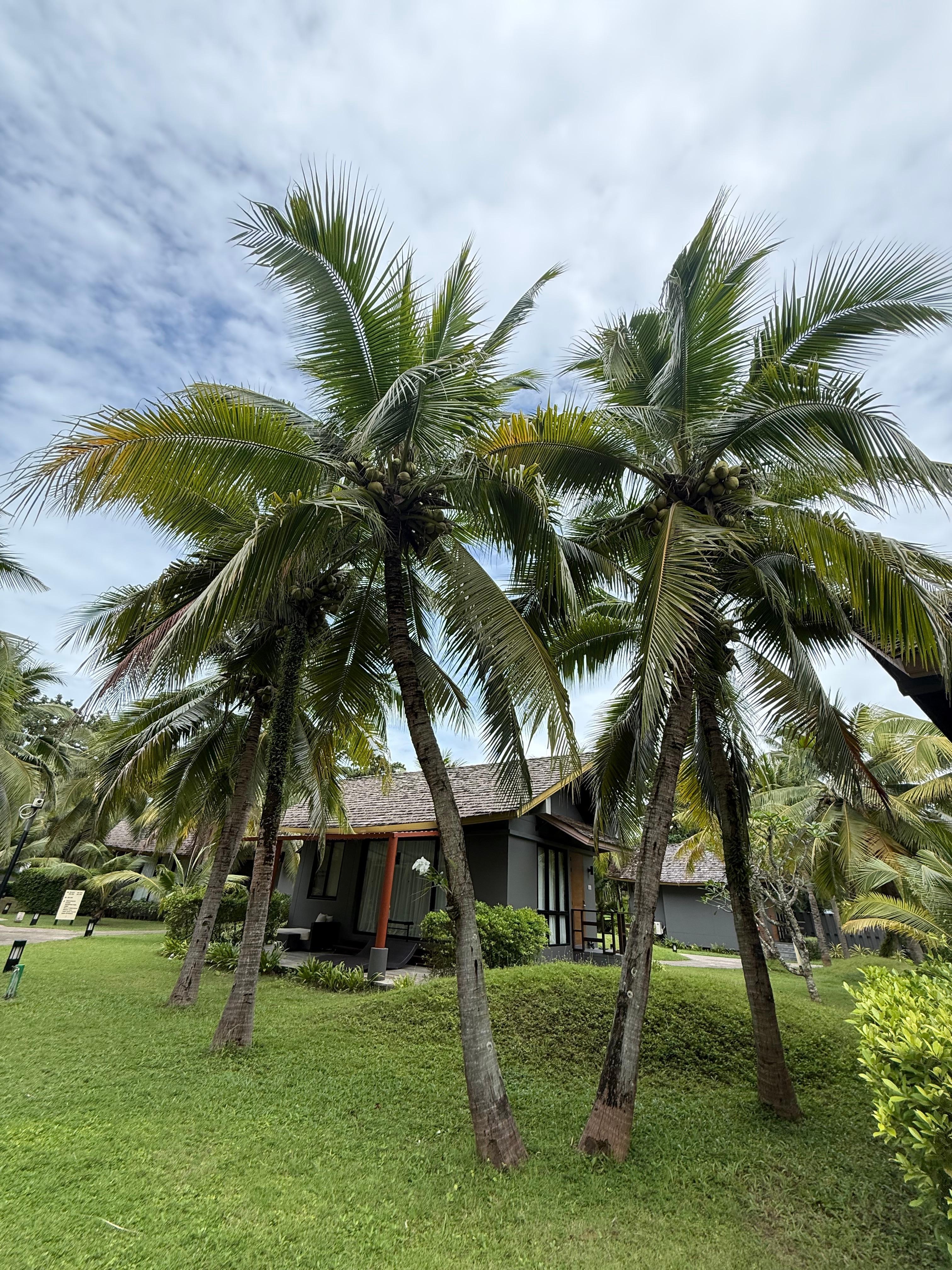 Amazing Beach Village 