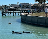 From the waterside restaurant.