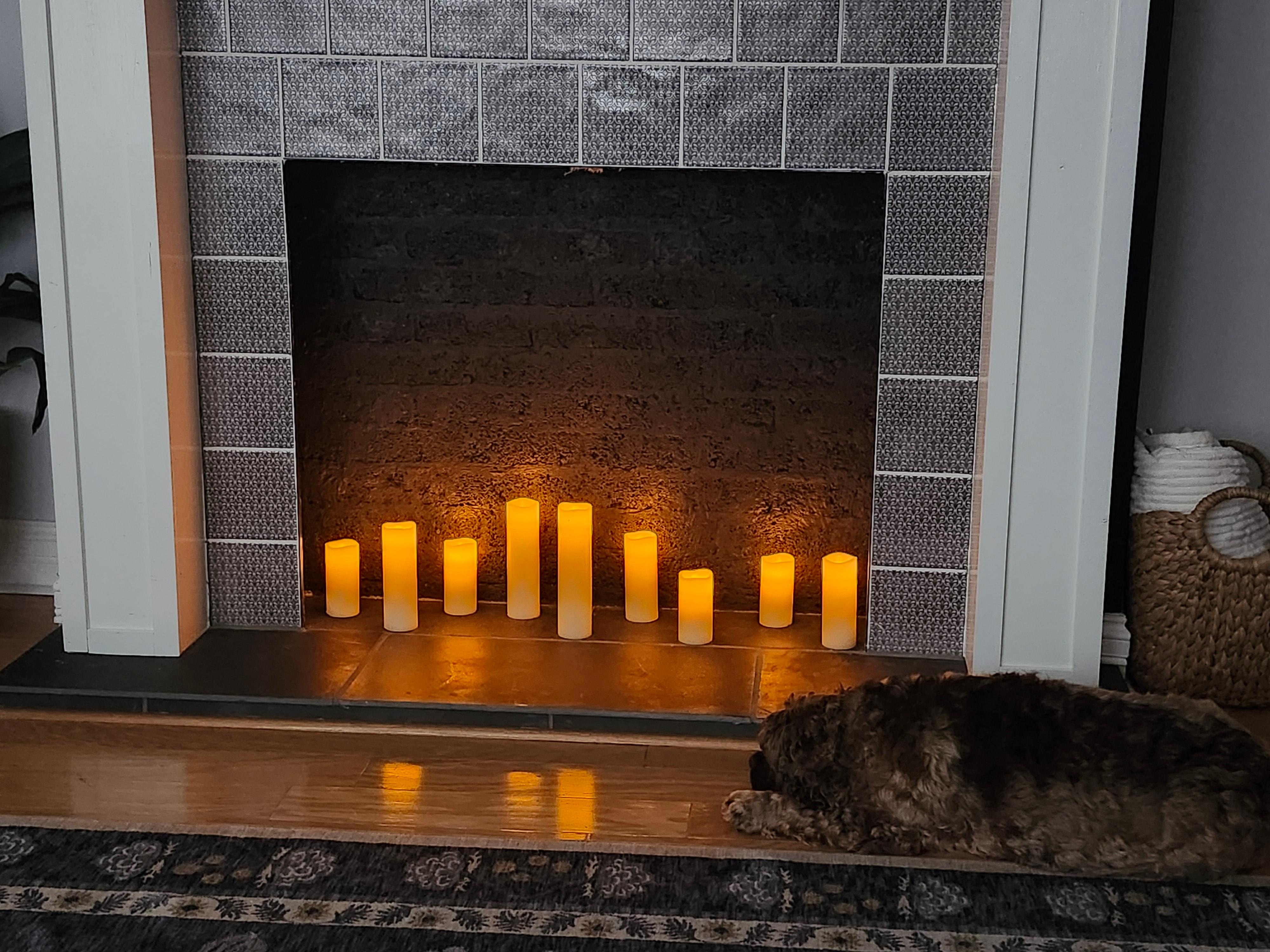 Cozy enough to fool the dog. 