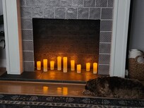 Cozy enough to fool the dog.