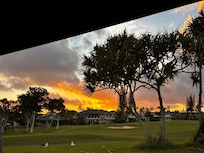 Sunrise with Albatross