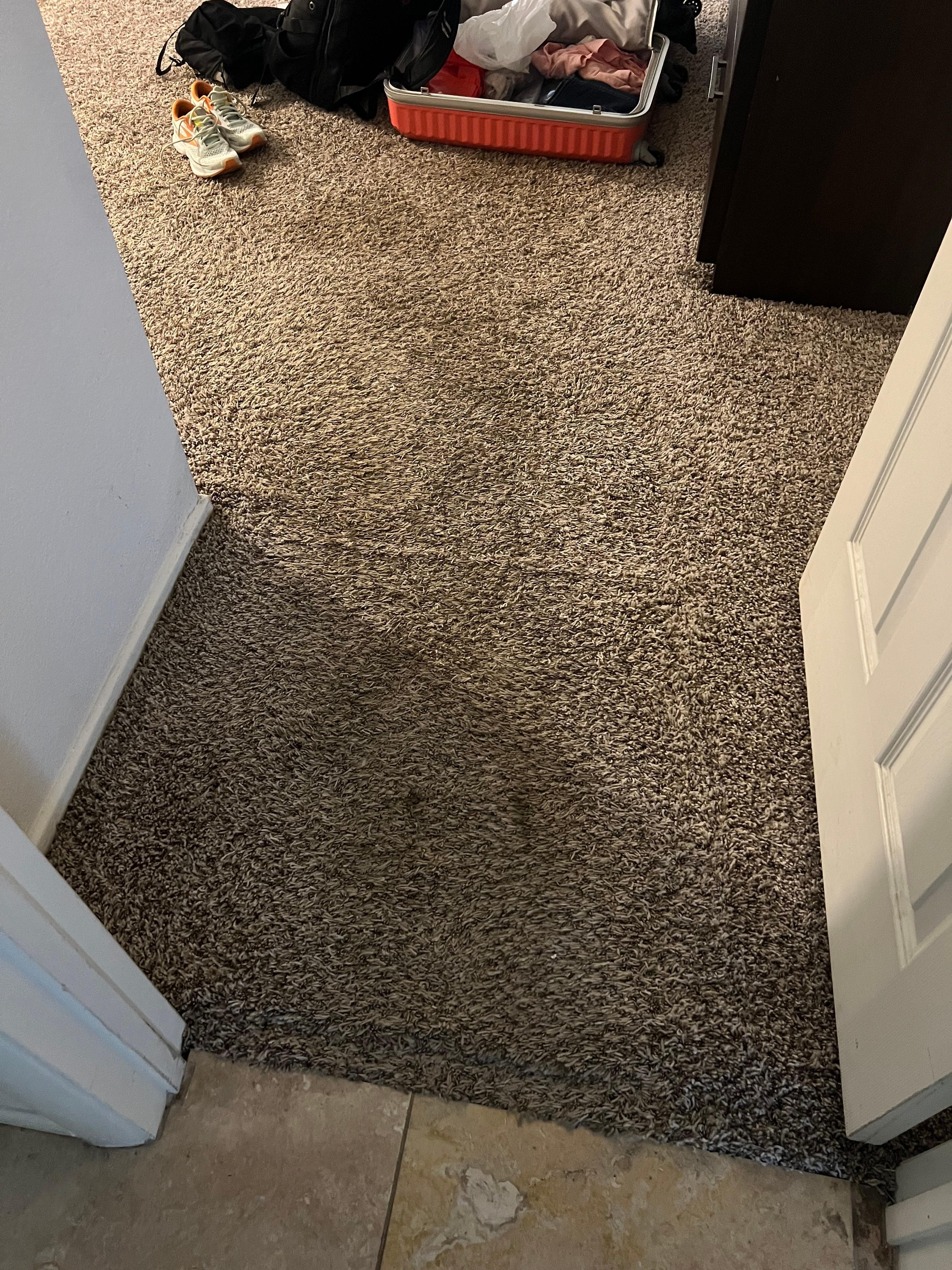 Ensuite bedroom. The entire carpet in this bedroom, and the rug under the bed, needs to be replaced.