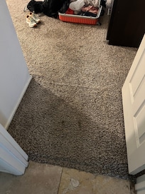 Ensuite bedroom. The entire carpet in this bedroom, and the rug under the bed, needs to be replaced.