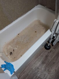 Bath tube where the toilet was backing up into . Never seen anyone come fix it. This is after 3 days of me asking them to come .