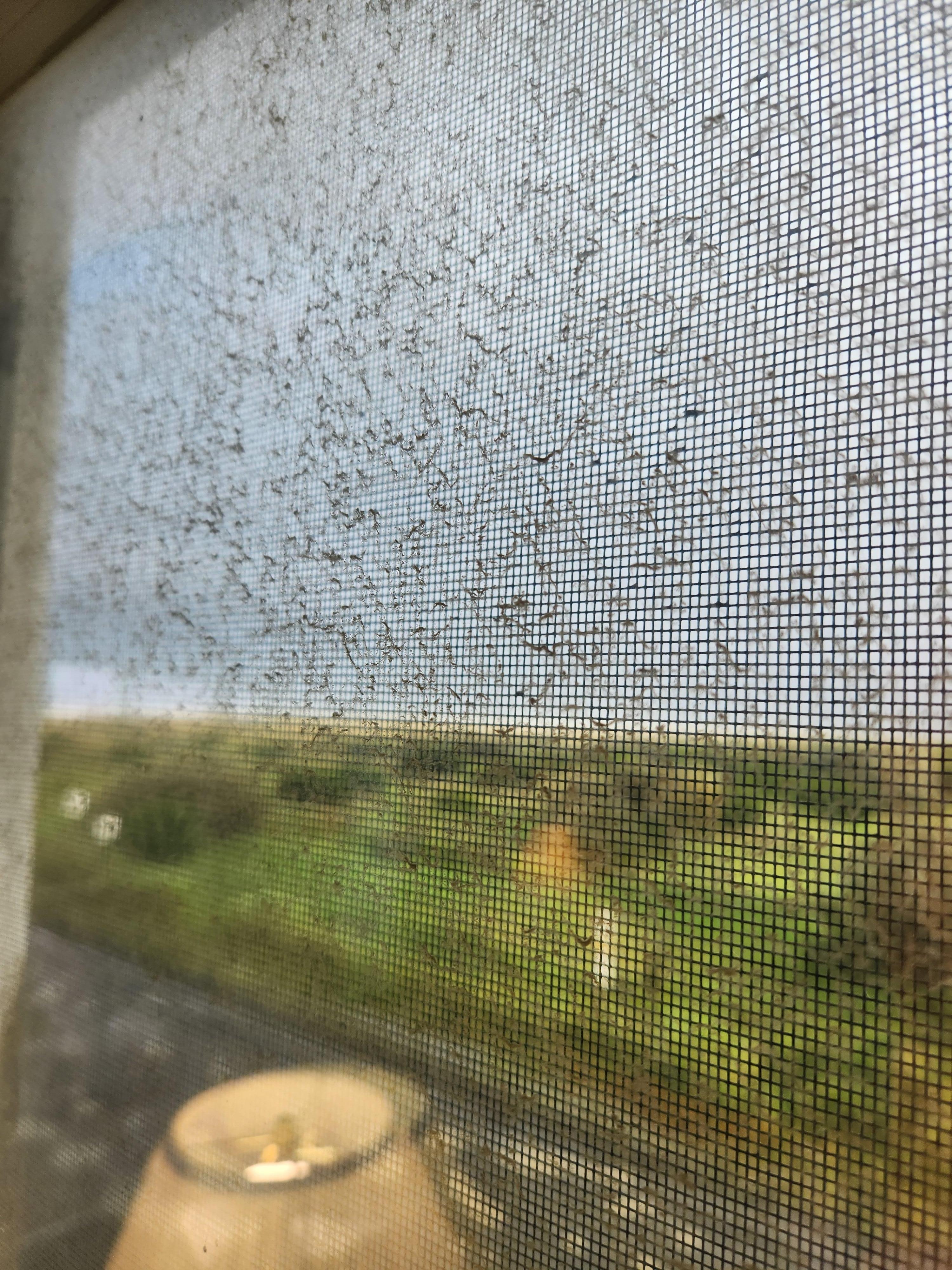 Outside window filthy