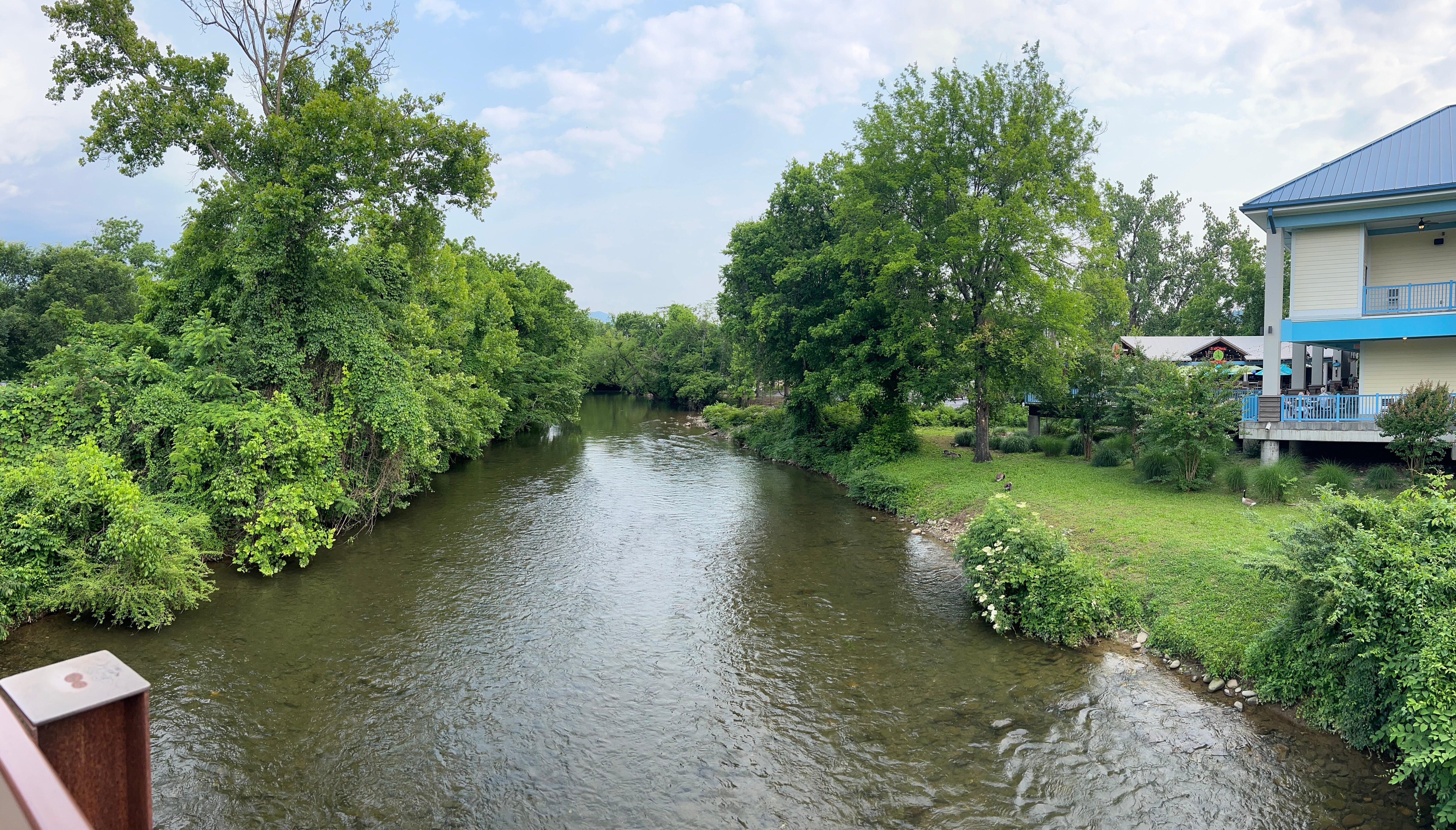The river 