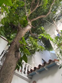 Inside