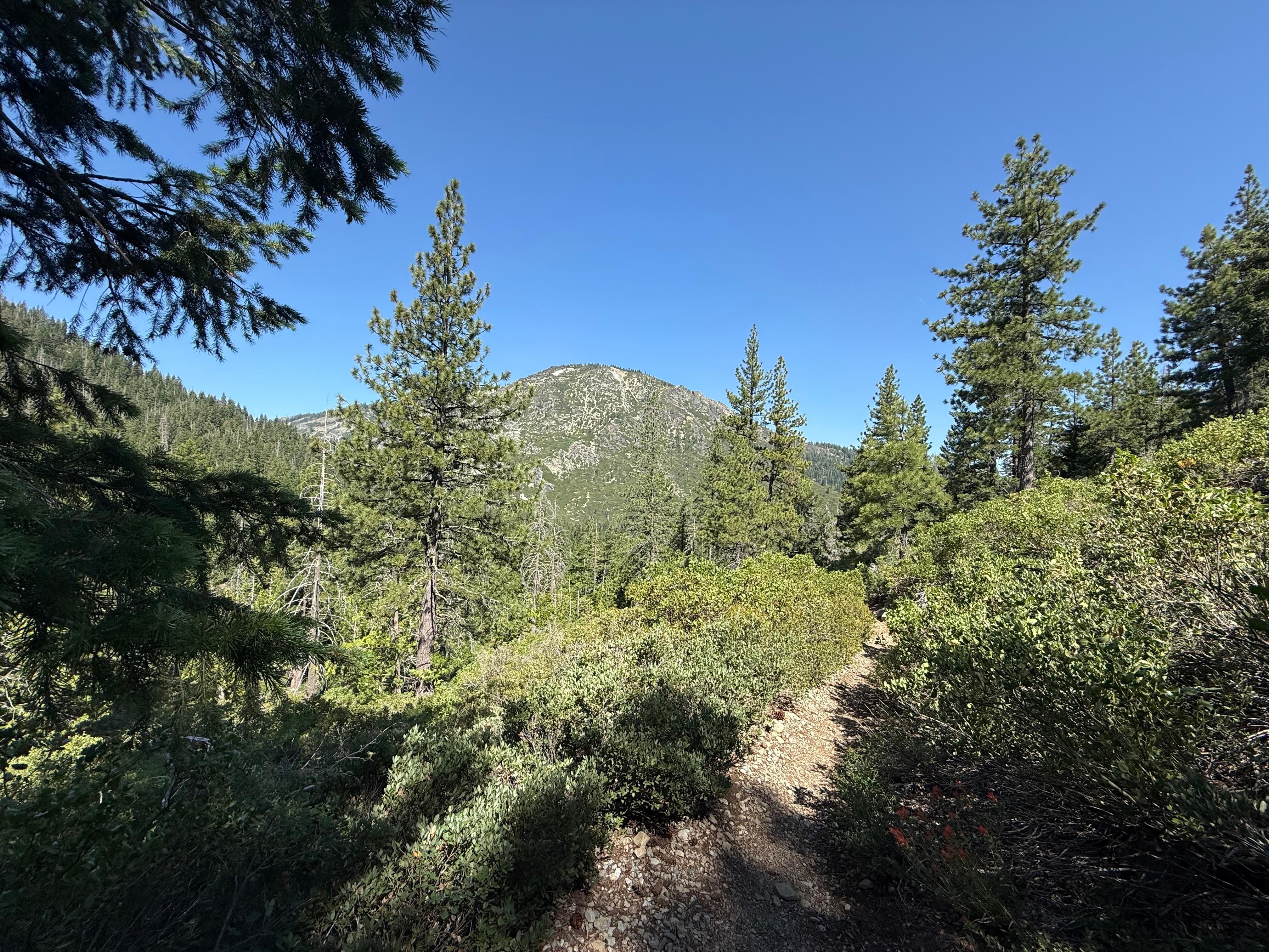 Trail 10 minutes away. Beautiful hike to Grass Lake. 