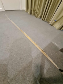 Ripped Carpets and curtains. Chair upholstery also ripped.