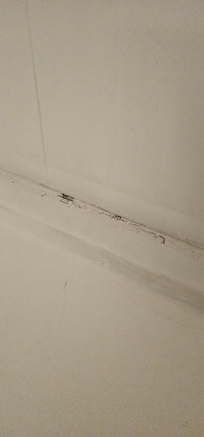 Looks like mold