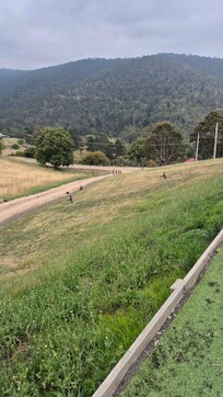 Kleurrijke Parkieten