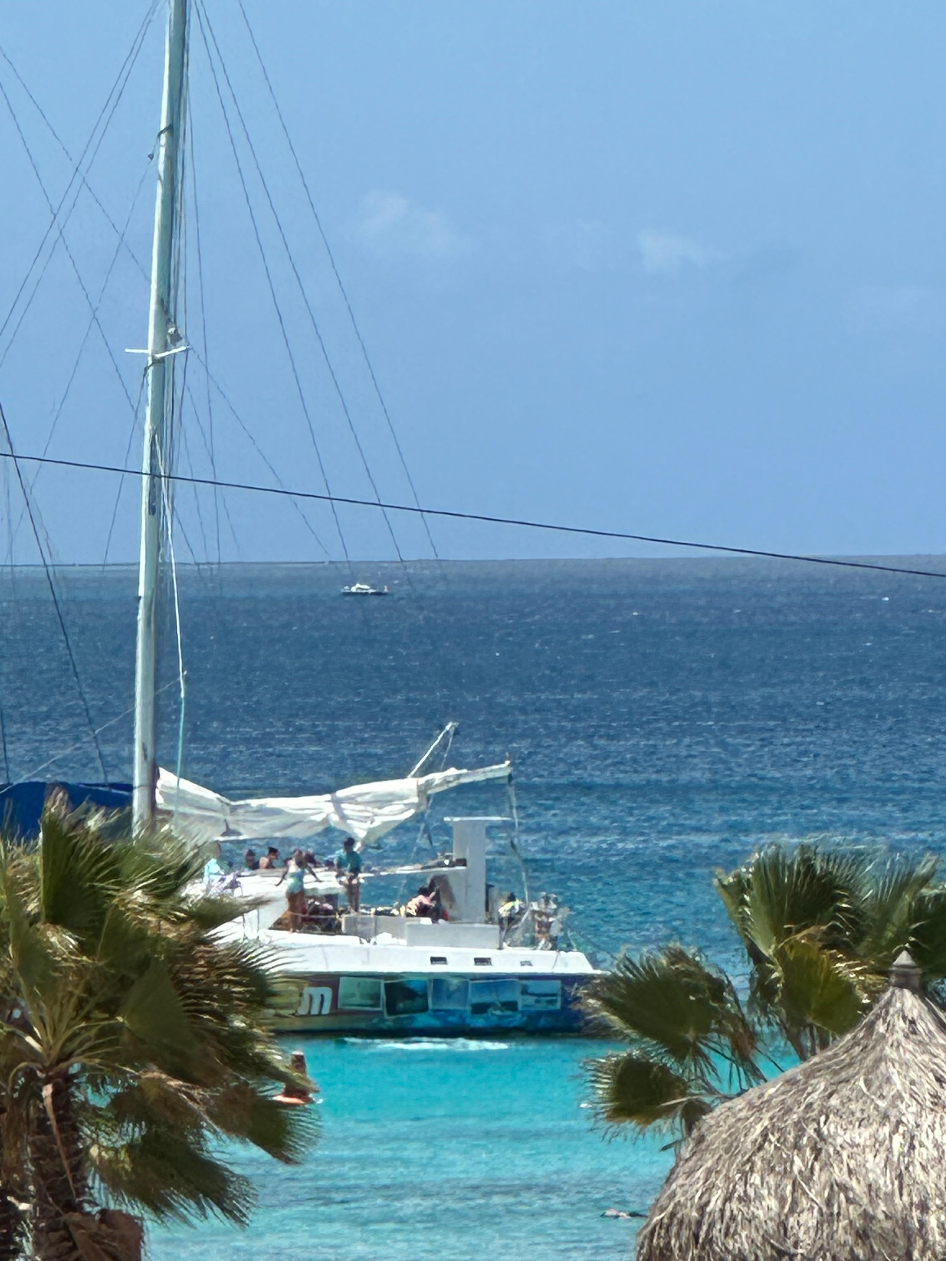 View from upper terrace