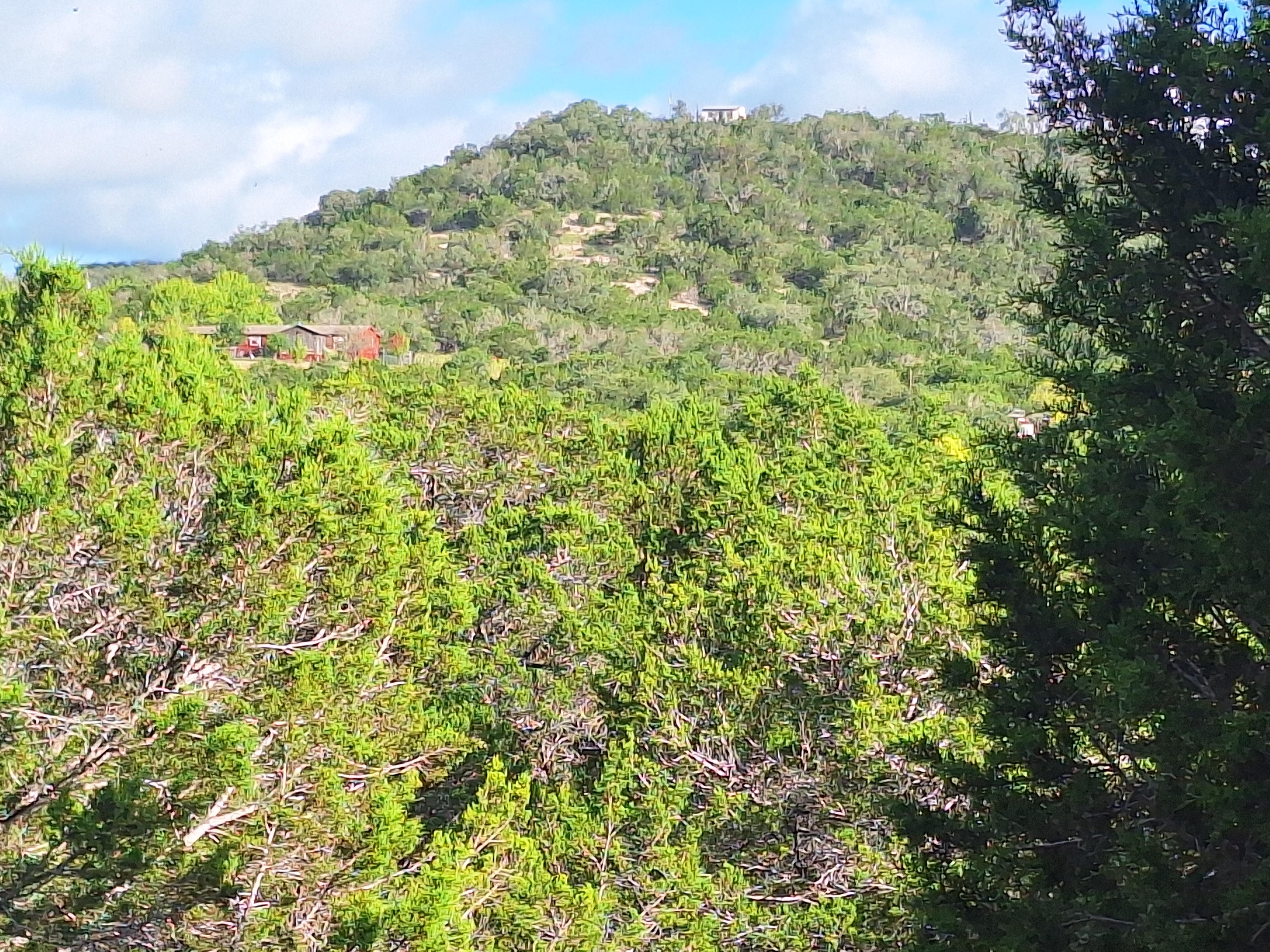 View from fire pit