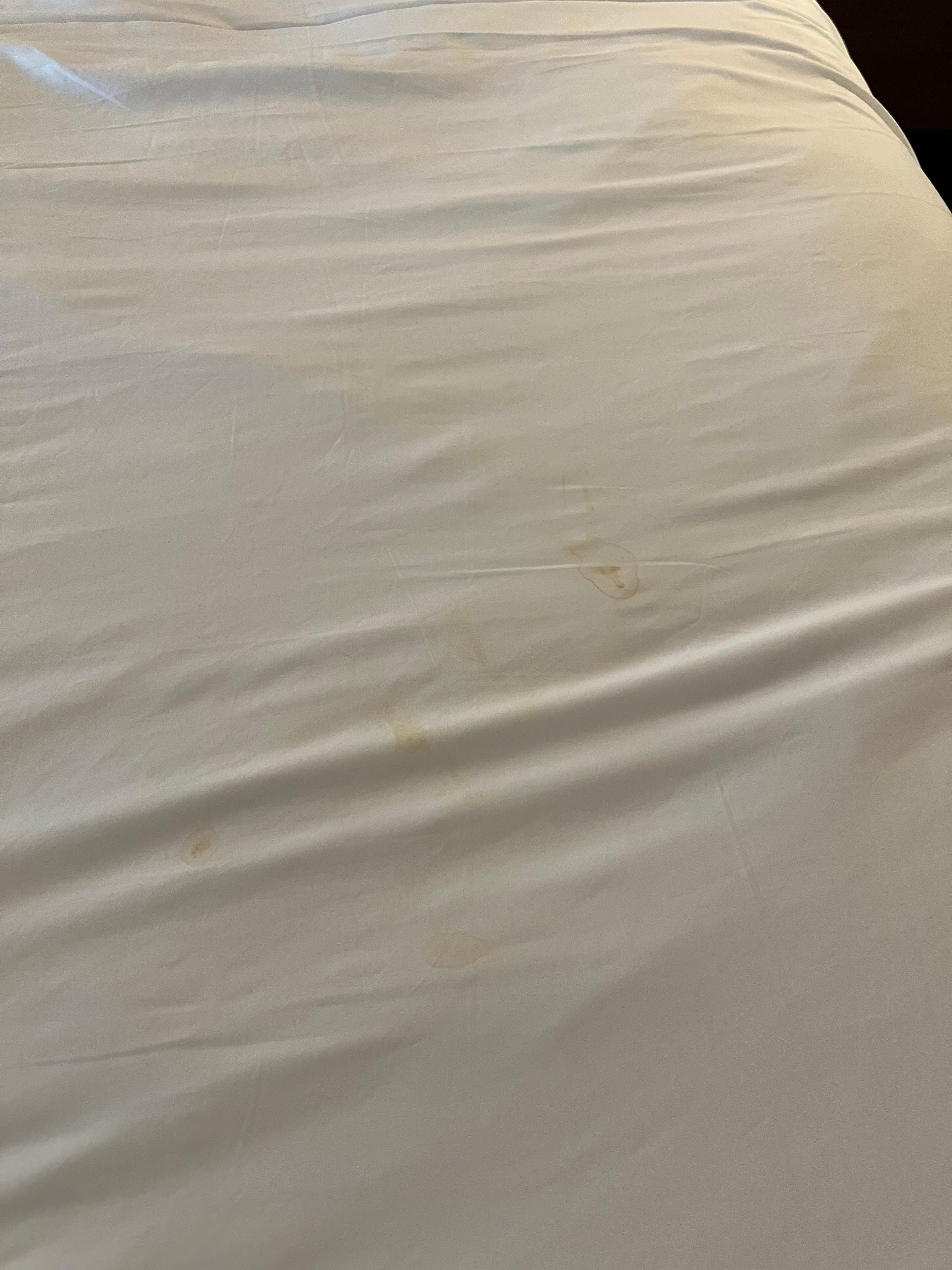 blood stains on sheets