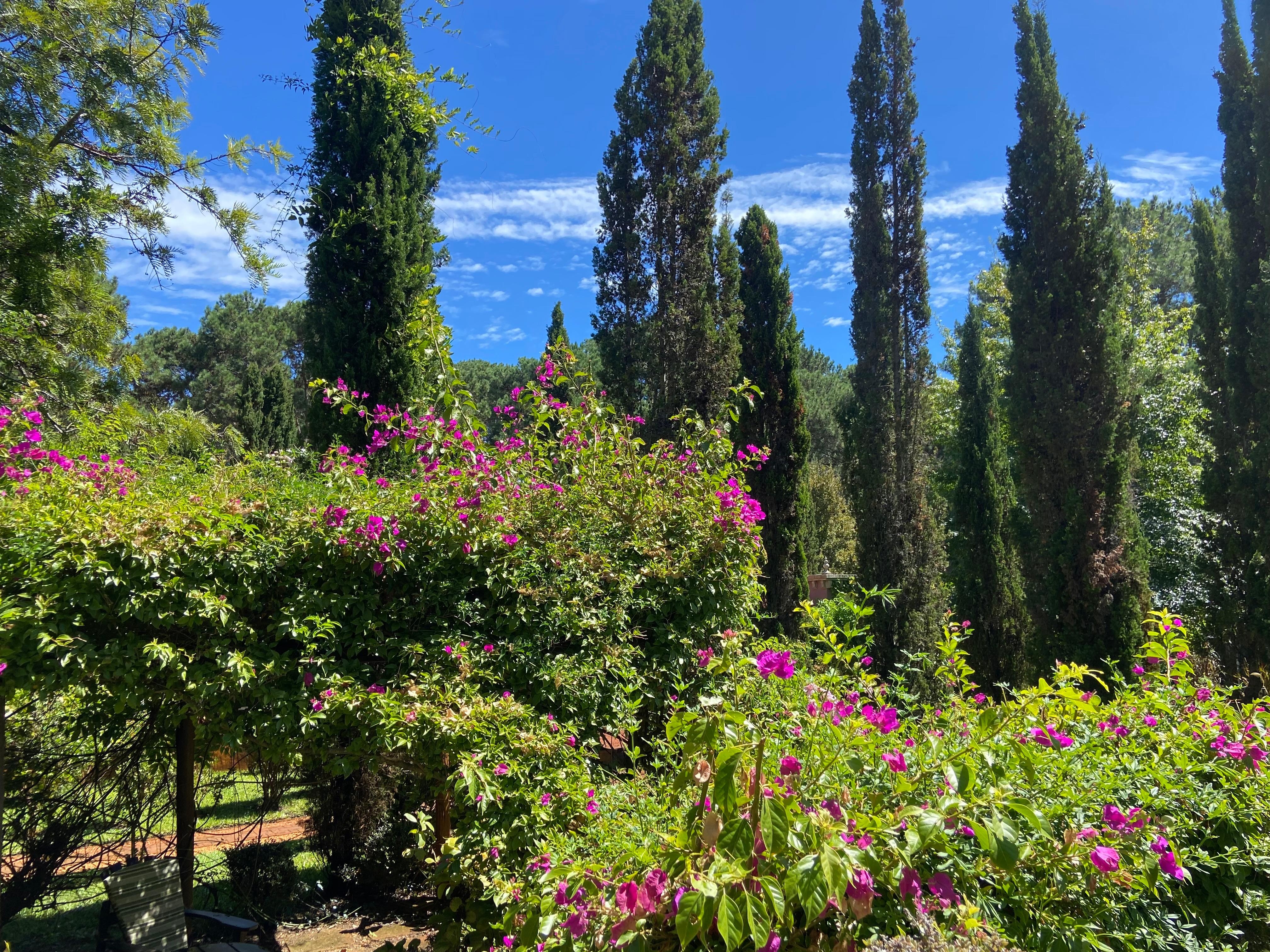 Surrounded vegetation was grren