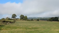Blick nach Süden