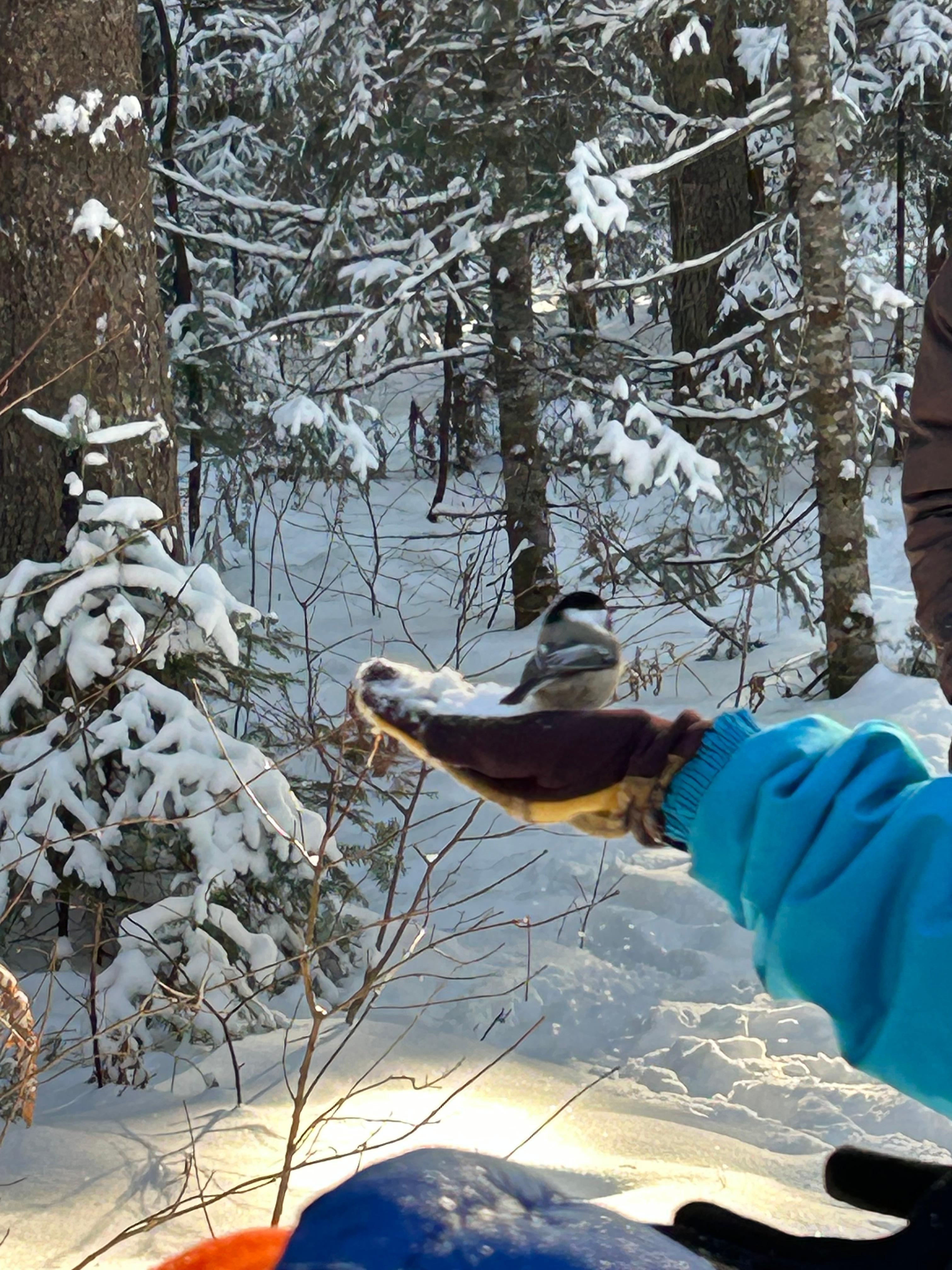 A walk at Arrowhead provincial park