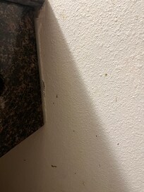 Stains on walls