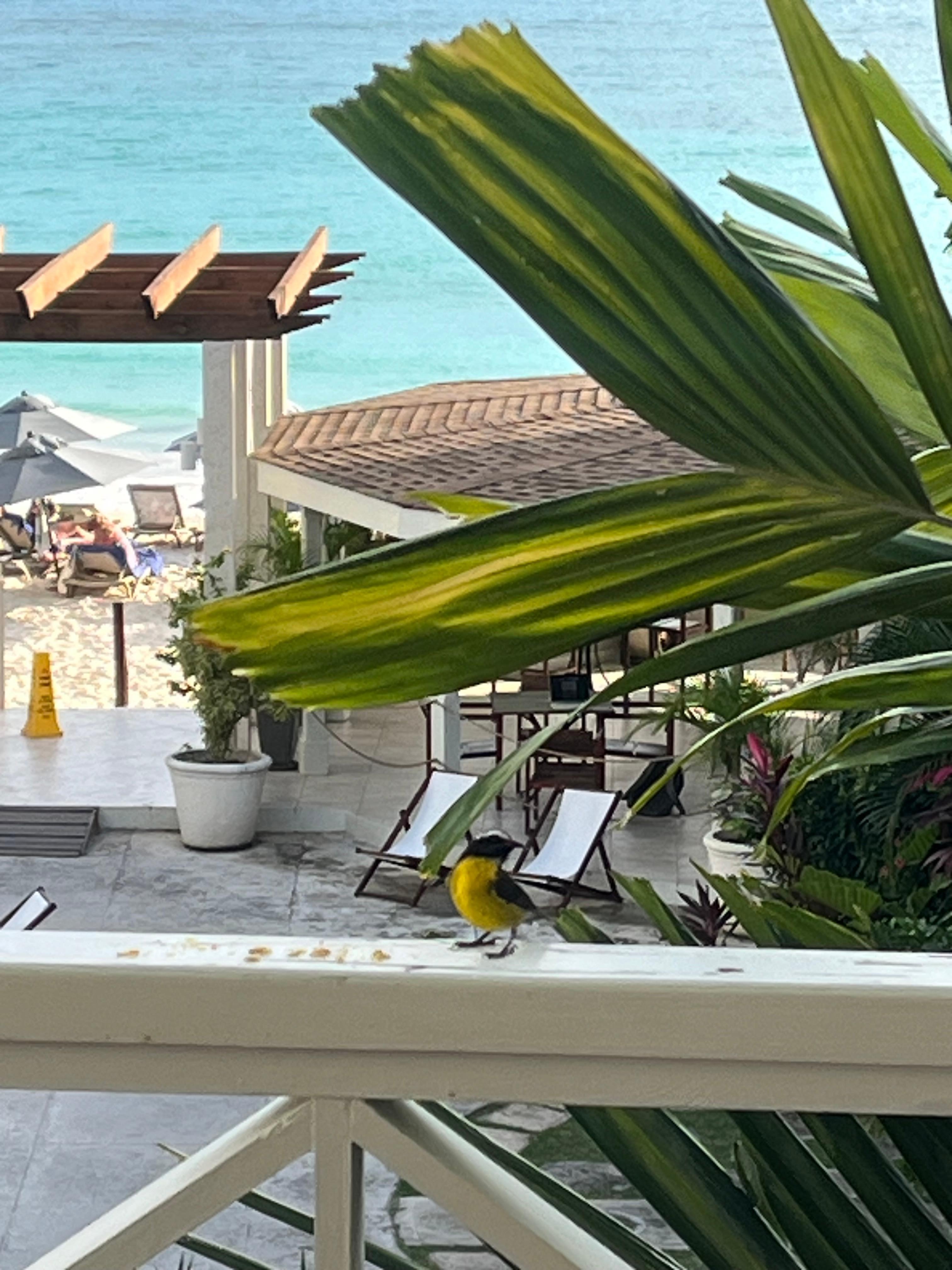 Beautiful flora and fauna 