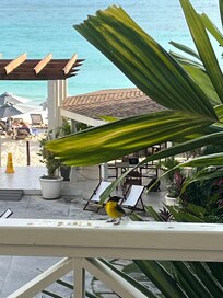 Beautiful flora and fauna