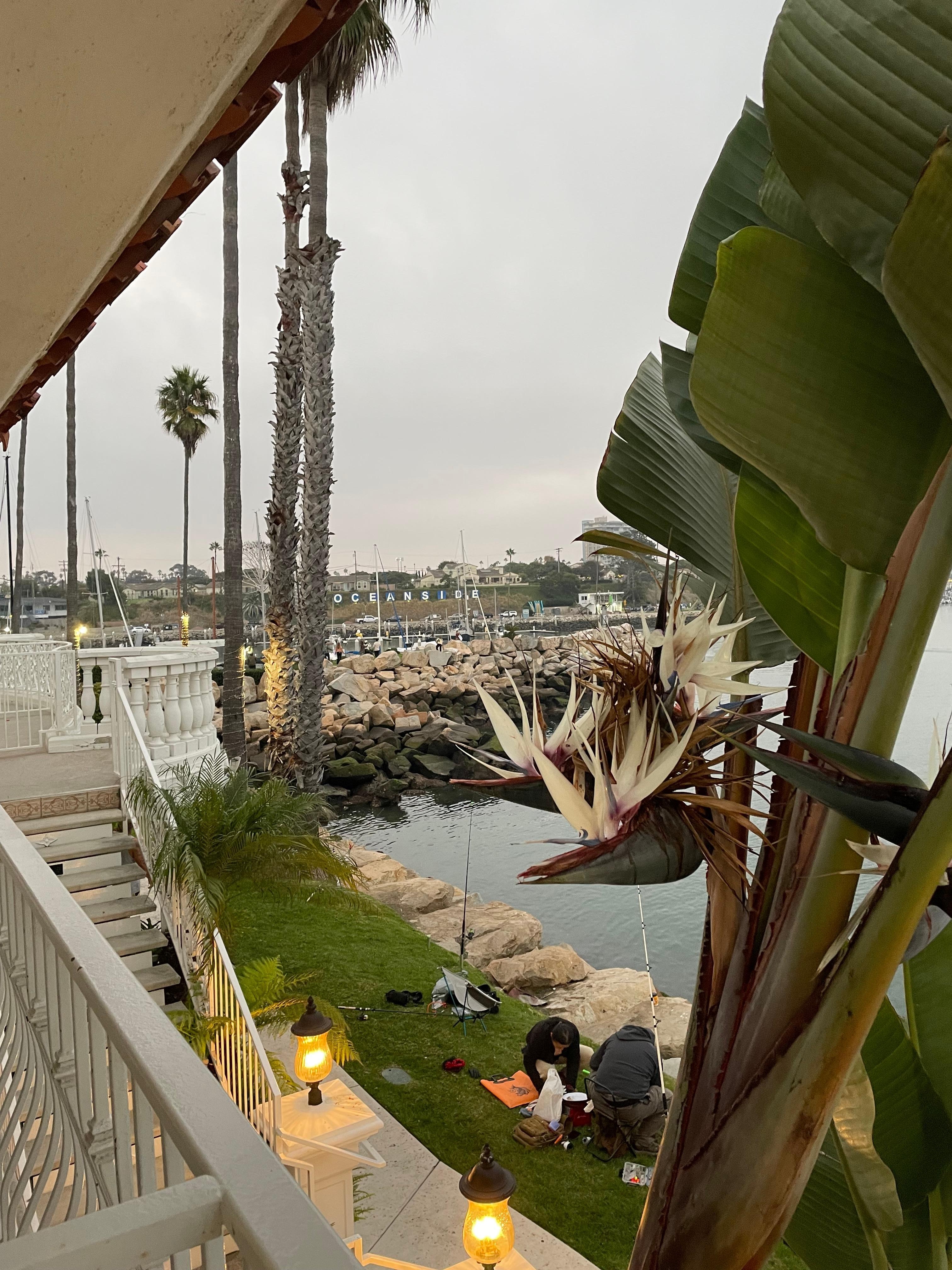 View in the other direction 