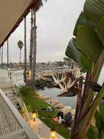 View in the other direction