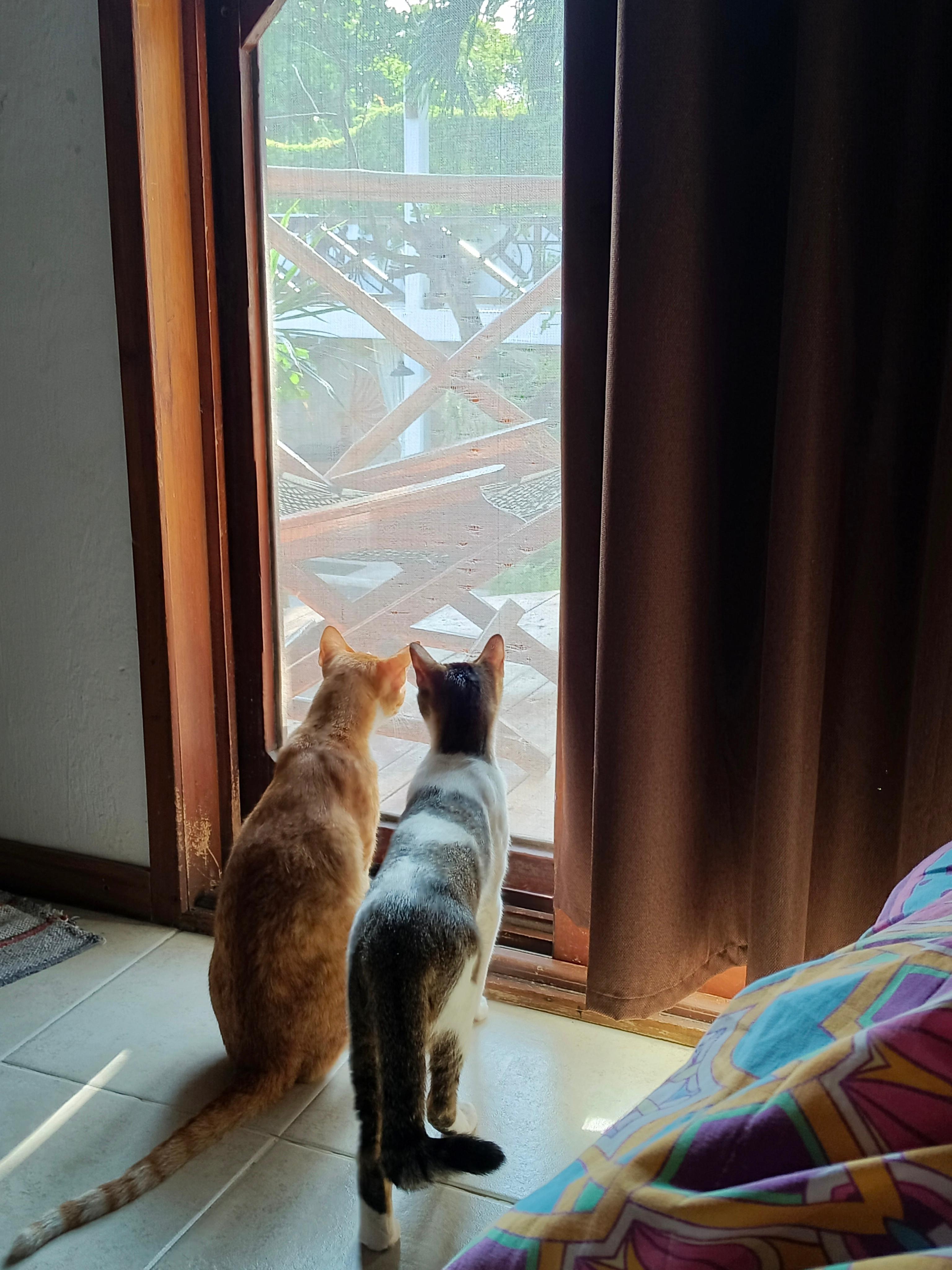Pendientes y felices con el miriñaque de la puerta de la habitacion