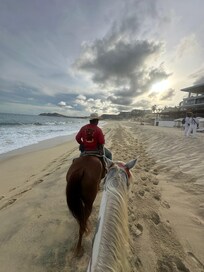Horse ride on the beach .