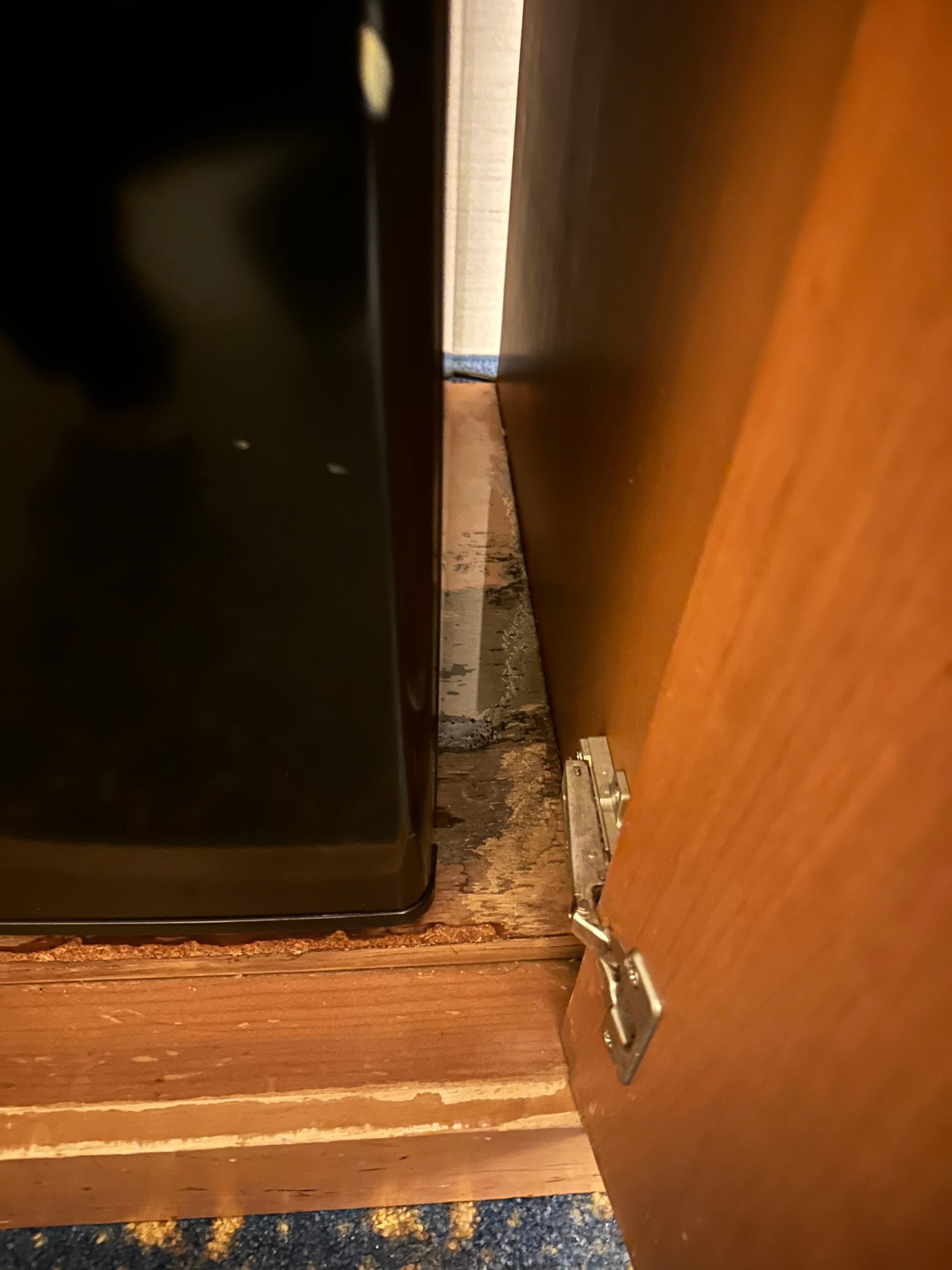 Leaking mini fridge with mold and water damage.