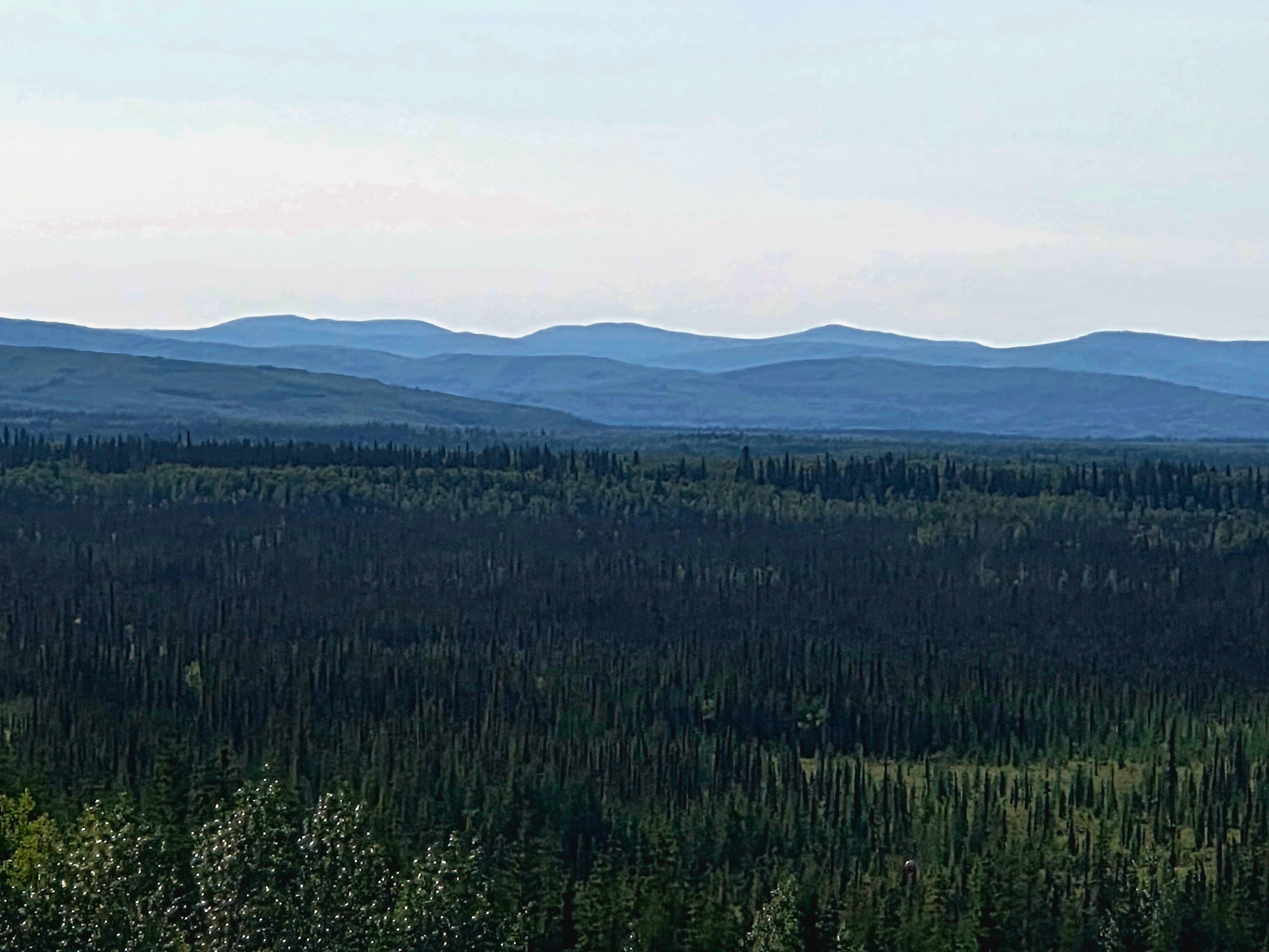 A vista I loved, driving up Chena Hot Springs Road.  