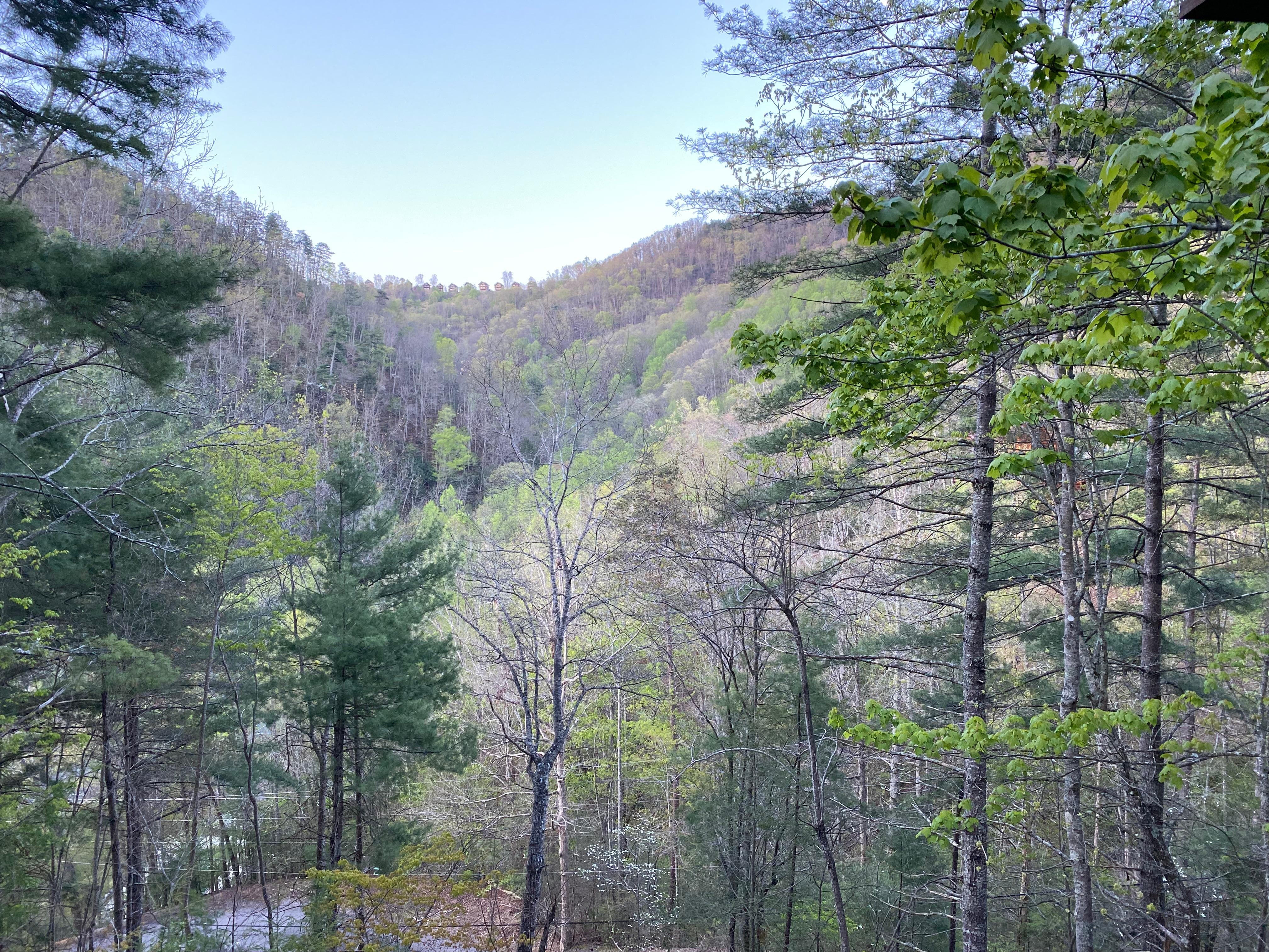 View from back deck. 