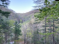 View from back deck.