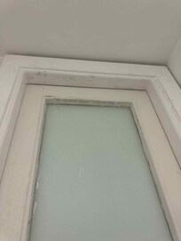 Private bathroom door - Painted glass