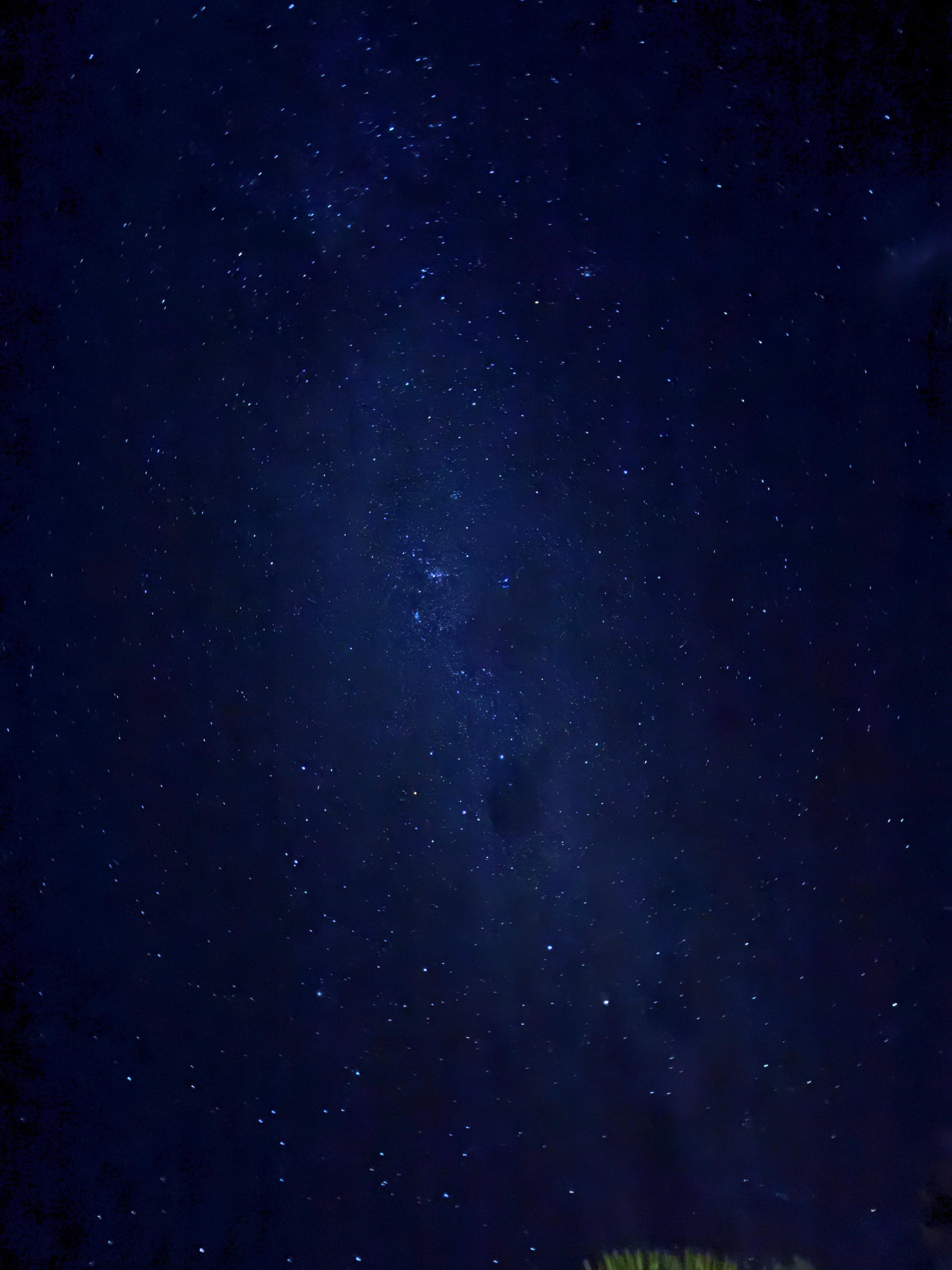 Stargazing from the backyard