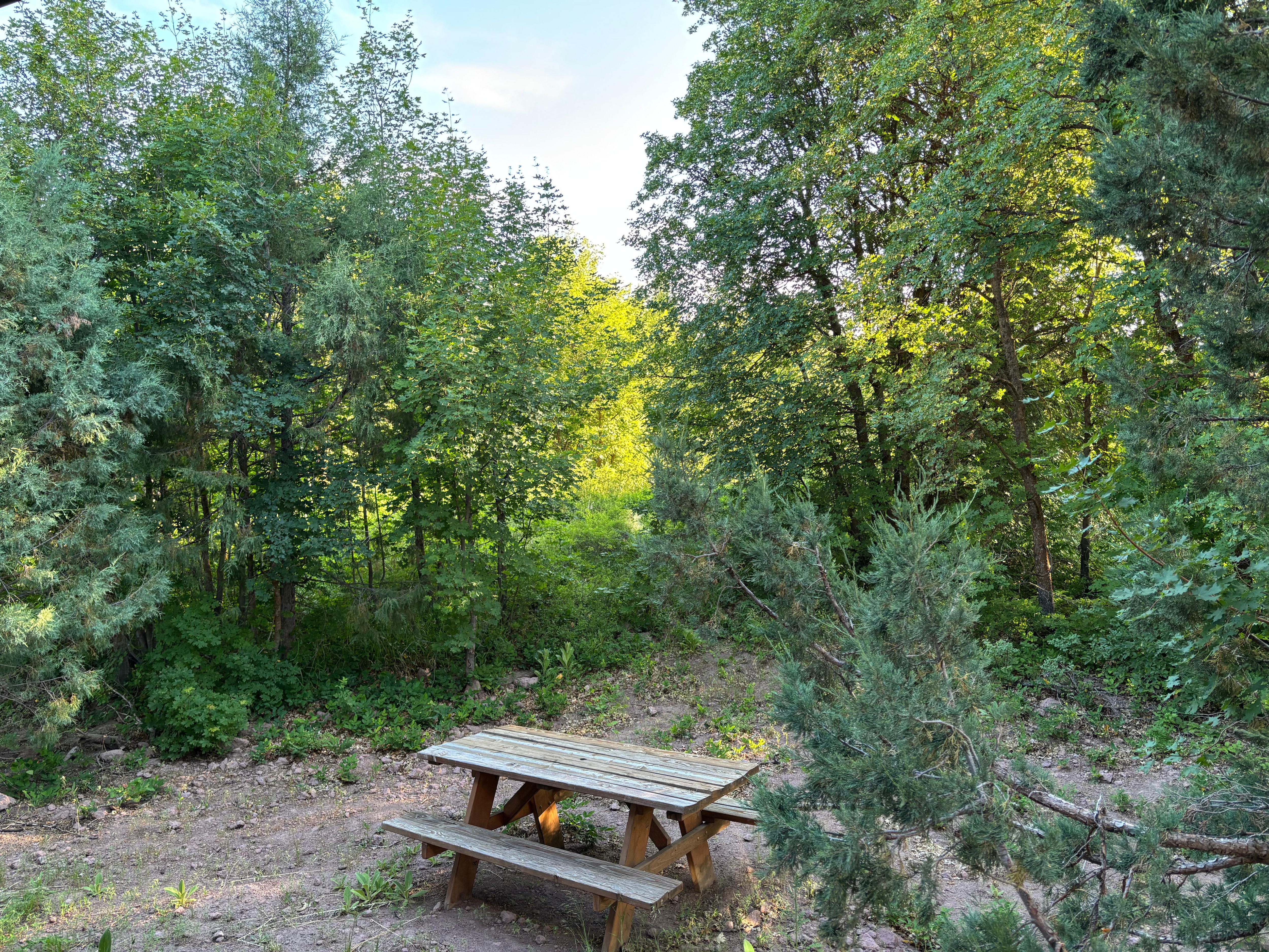 Picnic table by cabin