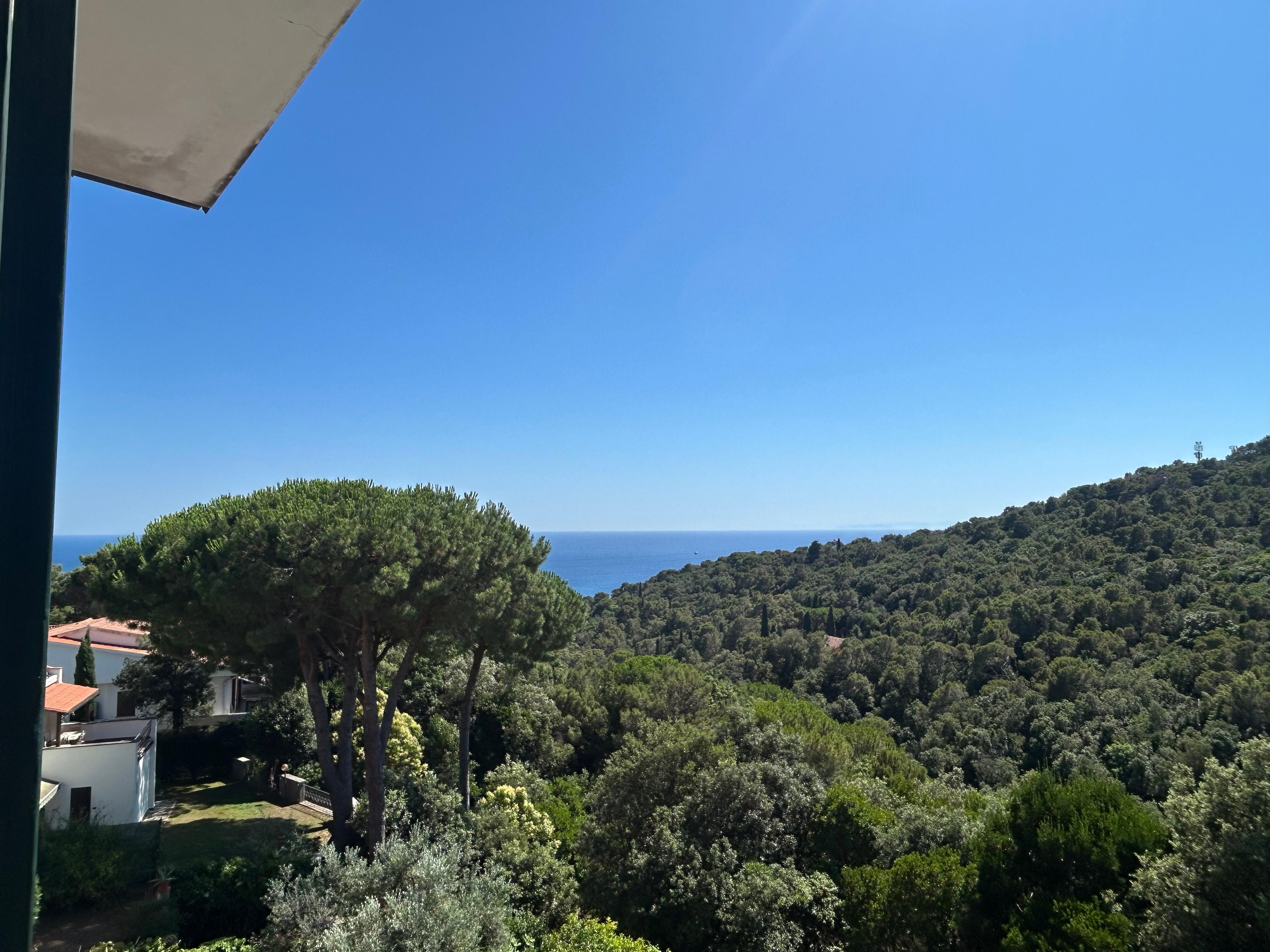 Vue de la terrasse “lunch”
