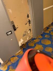 Hotel doors to the room