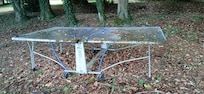 table de ping-pong