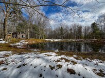 Pond