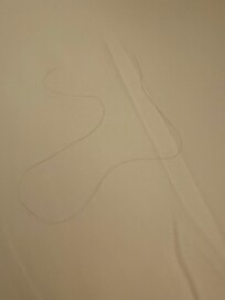 Hair was under the covers. Disgusting. I could not sleep that night.
