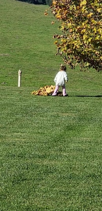 Daughter making a leaf pile, playing in the yard.