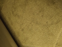 Carpet stains.