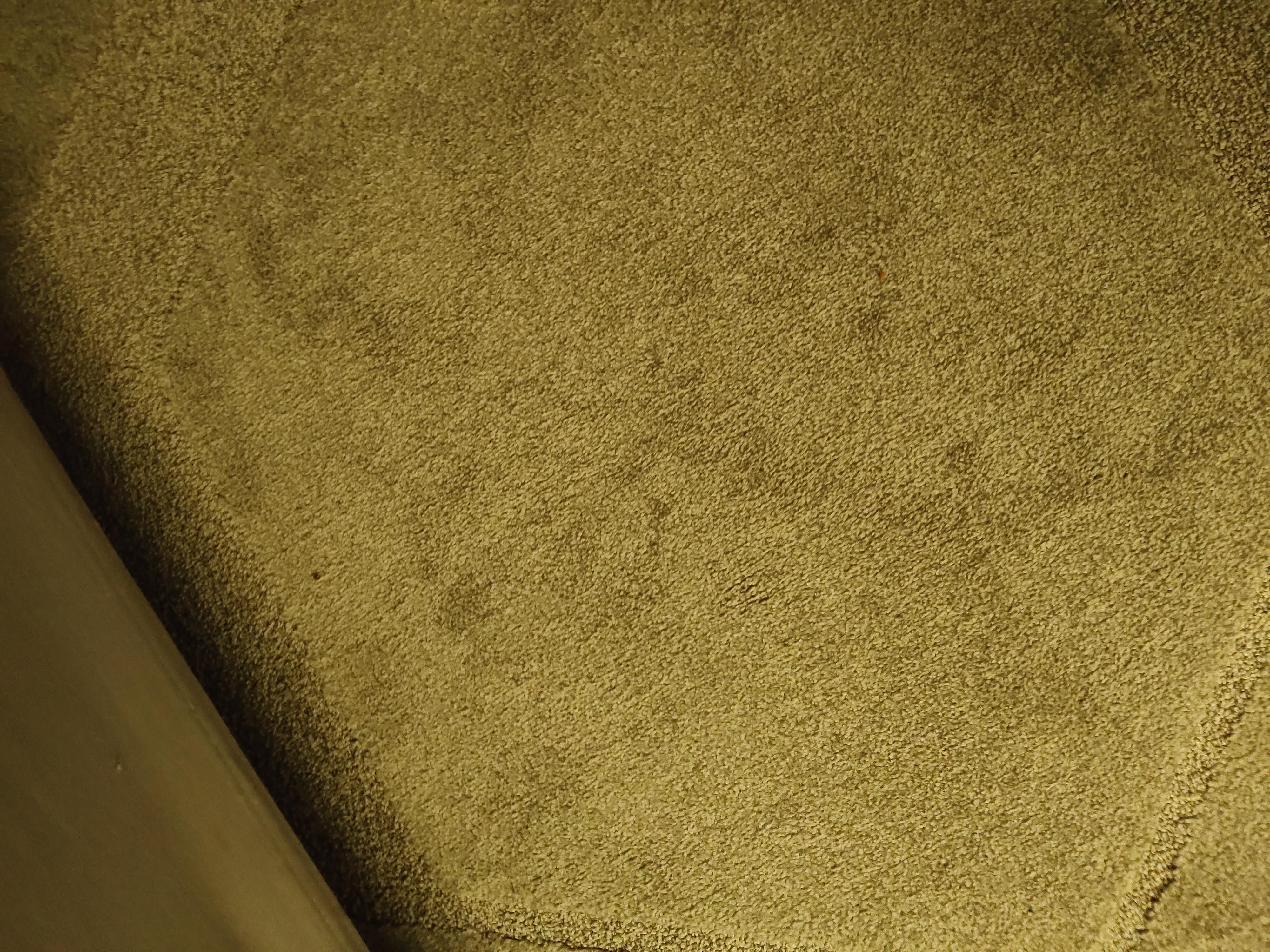 Carpet stains.