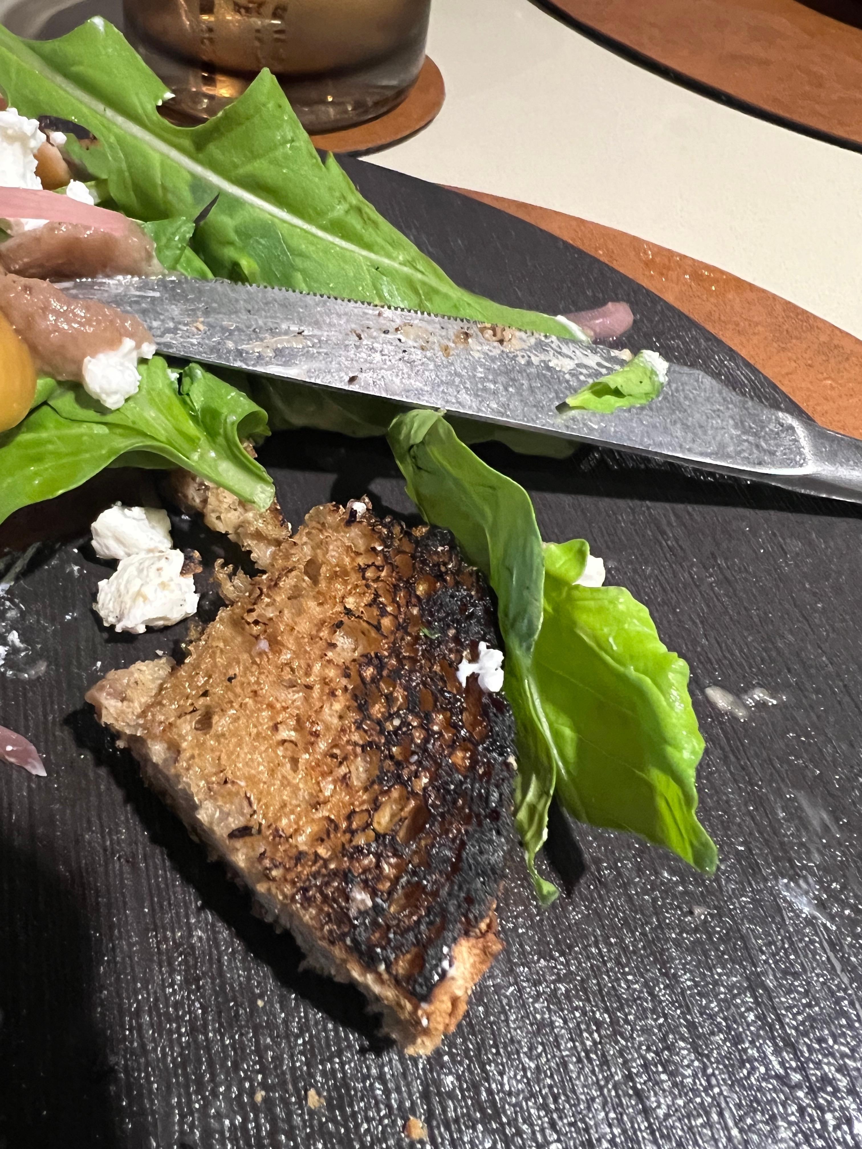 Goats cheese starter, this isn’t rye bread and it’s burnt. Also picked red onion? 